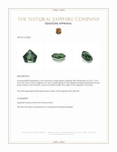 Jewelry Appraisal