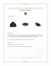 1.07 Ct. Green Sapphire from Tanzania Appraisal