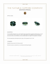 Jewelry Appraisal