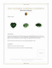 Jewelry Appraisal