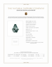 Jewelry Scan Report