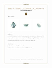 Jewelry Appraisal