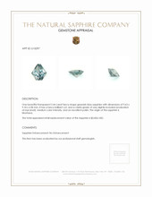Jewelry Appraisal