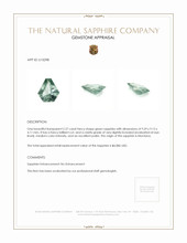 Jewelry Appraisal