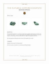 Jewelry Appraisal