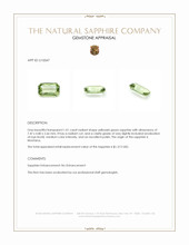 1.01 Ct. Yellowish Green Sapphire from Montana Appraisal