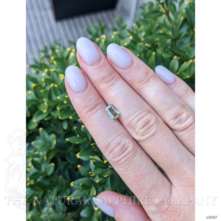 1.01 Ct. Yellowish Green Sapphire from Montana