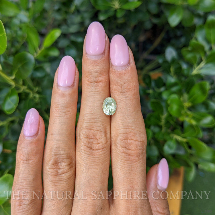2.21 Ct. Yellowish Green Sapphire from Montana