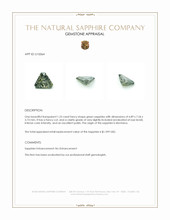 Jewelry Appraisal