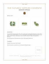 Jewelry Appraisal