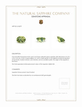 0.84 Ct. Yellowish Green Sapphire from Montana Appraisal