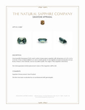 Jewelry Appraisal