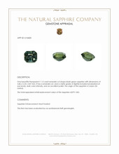 1.13 Ct. Bluish Green Sapphire from Ceylon (Sri Lanka) Appraisal