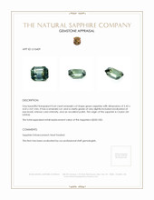 Jewelry Appraisal