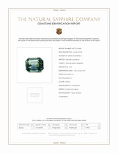 Jewelry Scan Report