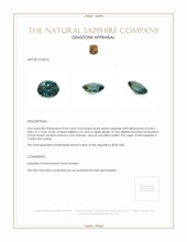 Jewelry Appraisal