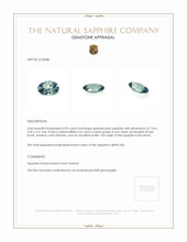 Jewelry Appraisal