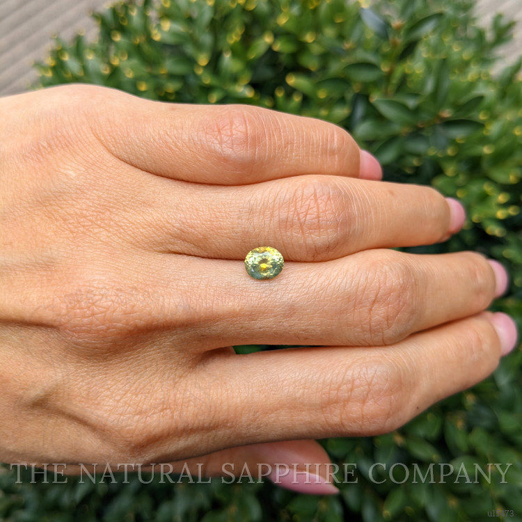 1.26 Ct. Green Sapphire from Montana