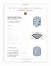 Jewelry 3 D Scan Report