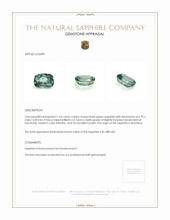 Jewelry Appraisal