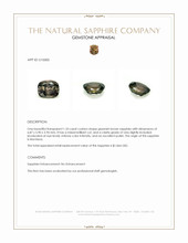 Jewelry Appraisal