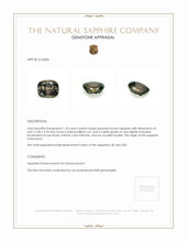 Jewelry Appraisal