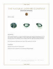 Jewelry Appraisal