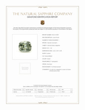 Jewelry Scan Report