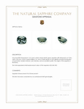 Jewelry Appraisal