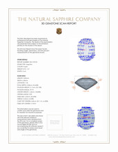 Jewelry 3 D Scan Report
