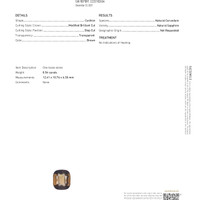 Jewelry Scan Report