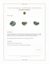 Jewelry Appraisal