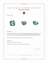 1.11 Ct. Greyish Blue Sapphire from Montana Appraisal