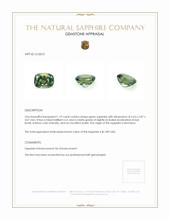 Jewelry Appraisal