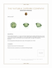 1.17 Ct. Yellowish Green Sapphire from Montana Appraisal