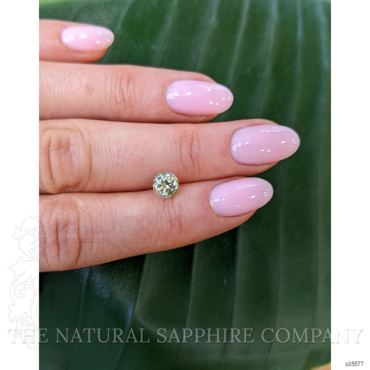 1.17 Ct. Yellowish Green Sapphire from Montana