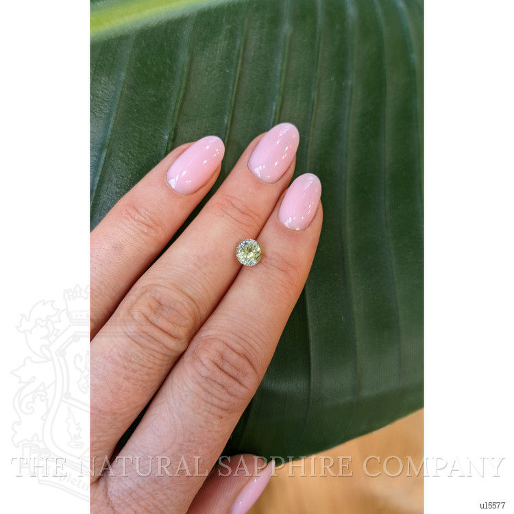 1.17 Ct. Yellowish Green Sapphire from Montana