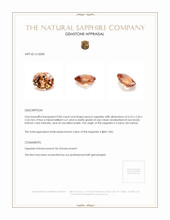 Jewelry Appraisal