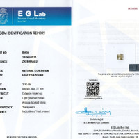 3.16 Ct. Greenish Yellow Sapphire from Ceylon (Sri Lanka) Scan Report
