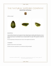 Jewelry Appraisal