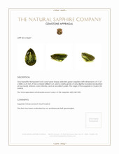 Jewelry Appraisal