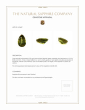 Jewelry Appraisal
