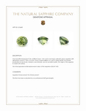 Jewelry Appraisal
