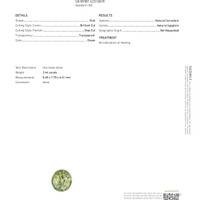 Jewelry Scan Report