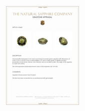 5.42 Ct. Brownish Green Sapphire from Ceylon (Sri Lanka) Appraisal