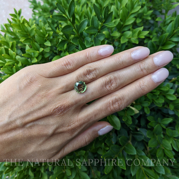 5.42 Ct. Green Sapphire from Ceylon (Sri Lanka)