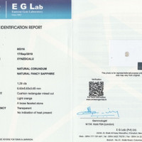 Jewelry Scan Report