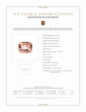 Jewelry Scan Report