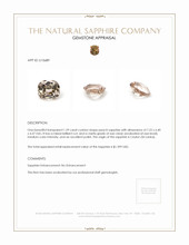 Jewelry Appraisal