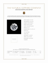 Jewelry Scan Report
